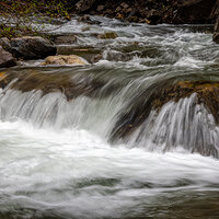 220509-1376-R5.jpg