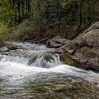 220509-1390-R5.jpg