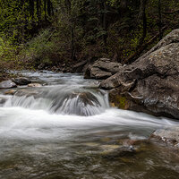 220509-1382-R5.jpg