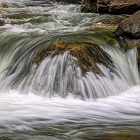 220509-1373-R5.jpg