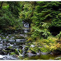 Annice Falls Fall 21