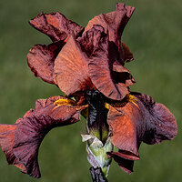 220528-1439-R5.jpg
