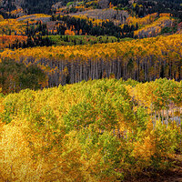 111003_mk3_6598.jpg