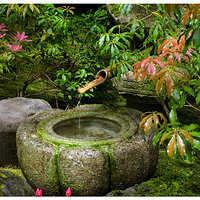 PJG-Serene Fountain