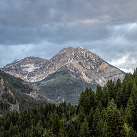 220619-1569-R5.jpg