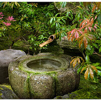 Portland Japanese Garden