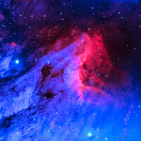 IC5070 Pelican HOO 1b.jpg