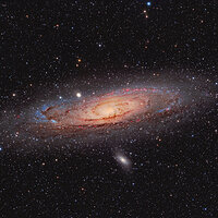 M31