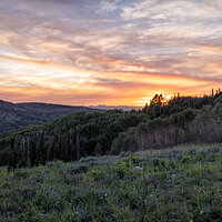 220708-2021-R5.jpg