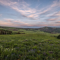 220709-2058-R5.jpg
