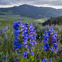 220715-2172-R5.jpg