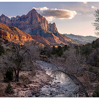 Watchman