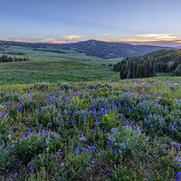 220715-2204-R5.jpg