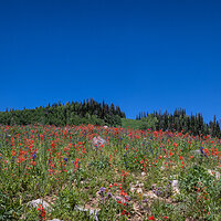 220708-1877-R5.jpg