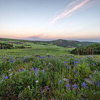 220716-2239-R5.jpg