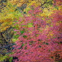 121105-1147-mk3.jpg