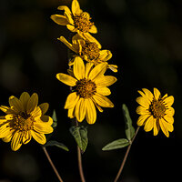 220803-2354-R5.jpg