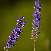 220803-2360-R5.jpg