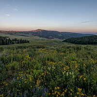 220803-2349-R5.jpg