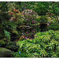Portland Japanese Garden
