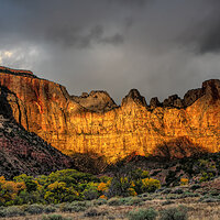 151104-3325-3323A 5DS- R.jpg