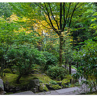 Portland Japanese Garden