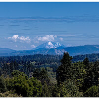 Mt. Adams