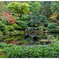 PJG-StrollingPond102211.jpg