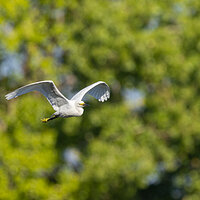 LRCC_sRGB_FW_TAP12078.jpg