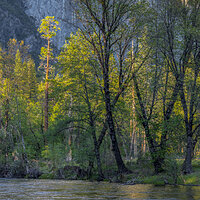 LRCC_sRGB_FW_sRGB_TAP10442_3_4_Optimizer2.jpg