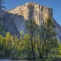 LRCC_sRGB_vert_FW_sRGB_TAP10442_3_4_Optimizer2.jpg