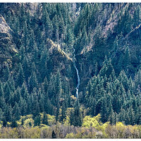 DJI_M3-Wahkeena162.jpg