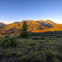 220923-2510-R5-CR3_DxO_DeepPRIME.jpg
