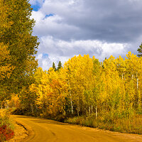 LRCC_sRGB_FW_TAP12980.jpg