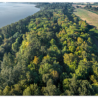 DJI_M3-WVancouverLake101322.jpg