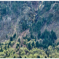 DJI_M3-CRGUnnamedFalls.jpg
