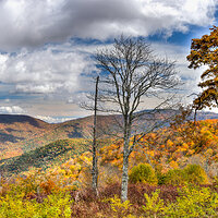 LRCC_sRGB_FW_sRGB_TAP13339-13347_Enhancer_stitch.jpg