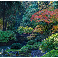 PJG-StrollingGarden103110.jpg