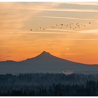 DJI_M3-HoodAndGeese-162.jpg