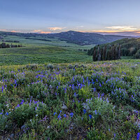 220715-2204-R5.jpg