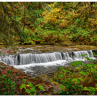 Ledge Falls