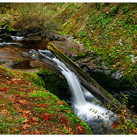 SC-Punchbowl110320.jpg