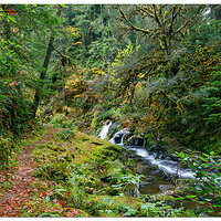 WW-BeaverCreekTrail110322.jpg