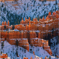 BRC05742BryceCanyonMorningFB.jpg