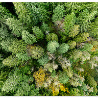 DJI_M3-SiuslawBelow.jpg