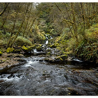 DJI_M3-SweetCreekFalls-24-MP.jpg