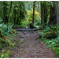 SC-TrailScene110322.jpg