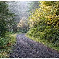 CapeCreekHeadlands2.jpg