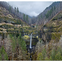 DJI_M3WinterElowah012623.jpg