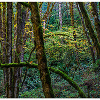 ThompsonCreekRd101521.jpg